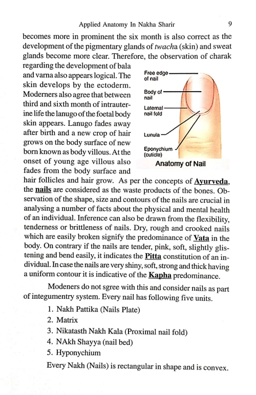 Applied Anatomy In Nakha Sharira